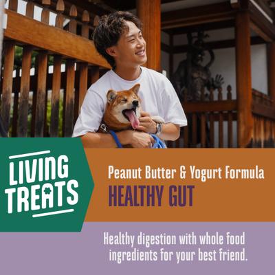 Living Treats Healthy Gut Peanut Butter Flavor Freeze-Dried Dog Treats, 3-oz bag