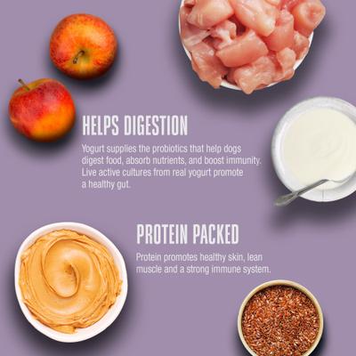 Living Treats Healthy Gut Peanut Butter Flavor Freeze-Dried Dog Treats, 3-oz bag