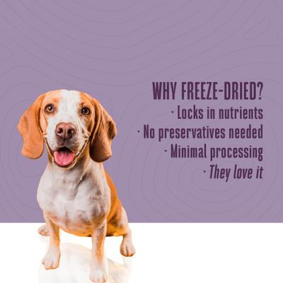 Living Treats Healthy Gut Peanut Butter Flavor Freeze-Dried Dog Treats, 3-oz bag