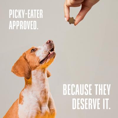 Living Treats Healthy Gut Peanut Butter Flavor Freeze-Dried Dog Treats, 3-oz bag