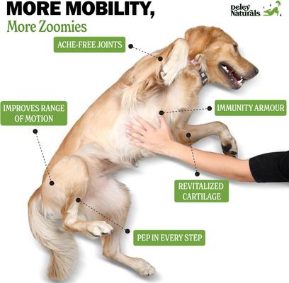 Advanced Hip & Joint Chicken Flavor Dog Supplement, 17-oz Canister, 120 Count