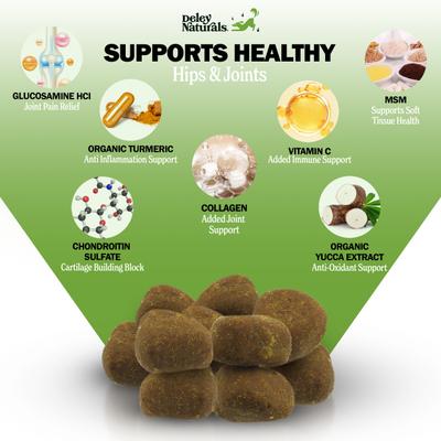 Advanced Hip & Joint Chicken Flavor Dog Supplement, 17-oz Canister, 120 Count