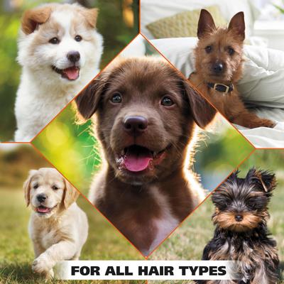 Gentle Formula Tearless Puppy Shampoo, Cornflower & Aloe Scent, 24-fl oz bottle