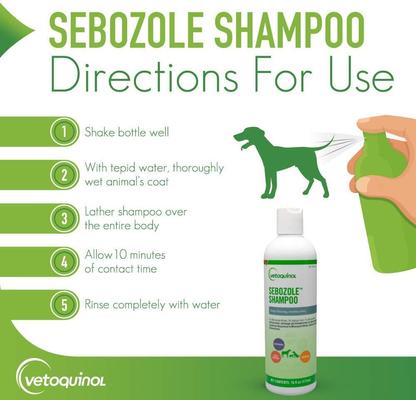 Sebozole Shampoo for Dogs & Cats, 16-fl oz bottle