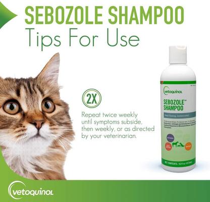 Sebozole Shampoo for Dogs & Cats, 16-fl oz bottle