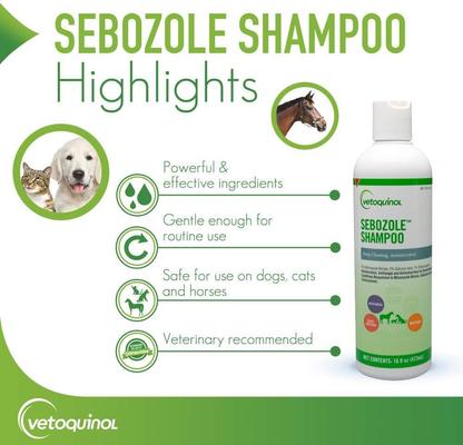 Sebozole Shampoo for Dogs & Cats, 16-fl oz bottle