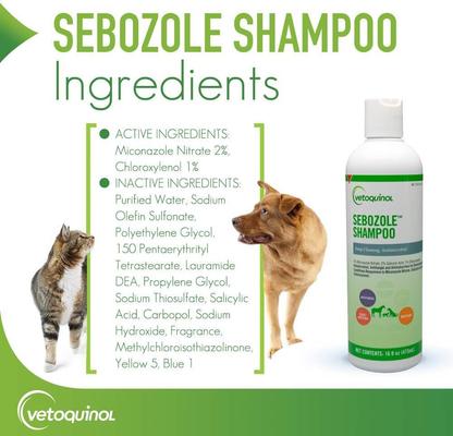 Sebozole Shampoo for Dogs & Cats, 16-fl oz bottle