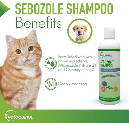Sebozole Shampoo for Dogs & Cats, 16-fl oz bottle