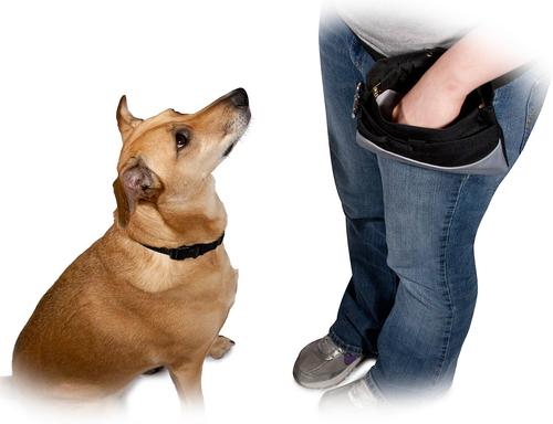 Bundle: PetSafe Treat Pouch Sport, Black & Bil-Jac Little-Jacs Small Dog Chicken Liver Training Dog Treats