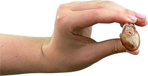 12-inch Bully Sticks Dog Treat