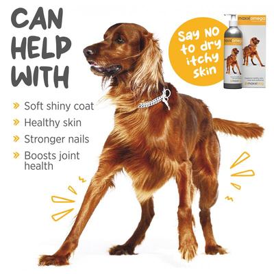 maxxiomega Oil for Dogs, 10-fl oz