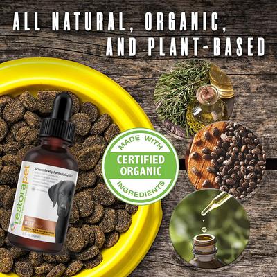 Daily Supplement Organic Beef Flavor Dog & Cat Supplement, 2-fl oz bottle