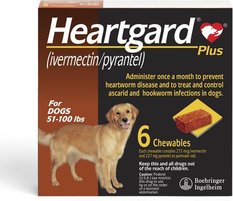 Bundle: Heartgard Plus Chew for Dogs, 51-100 lbs, (Brown Box), 6 Chews (6-mos. supply) & NexGard Chew for Dogs, 60.1-121 lbs, (Red Box), 6 Chews (6-mos. supply)