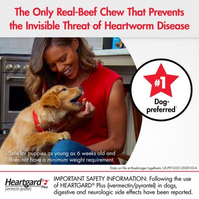 Bundle: Heartgard Plus Chew for Dogs, 51-100 lbs, (Brown Box), 6 Chews (6-mos. supply) & NexGard Chew for Dogs, 60.1-121 lbs, (Red Box), 6 Chews (6-mos. supply)