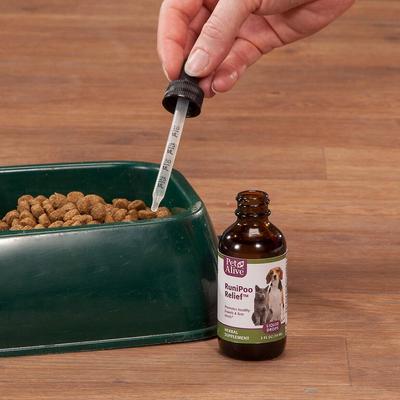 RuniPoo Relief Dog & Cat Supplement, 2-fl oz bottle