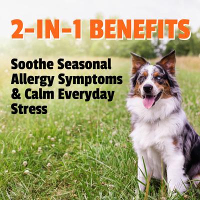 Allergy Plus Calming Duck Flavored Soft Chew Supplement for Dogs, 60 count