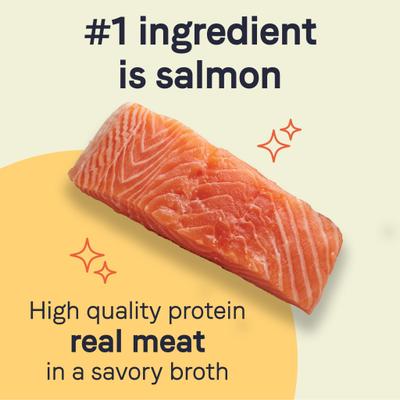 PURE All Stages Grain-Free Limited Ingredient Salmon & Sweet Potato Recipe Canned Dog Food, 13-oz can, case of 12