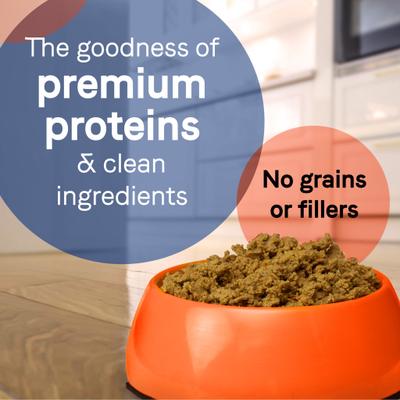 PURE All Stages Grain-Free Limited Ingredient Salmon & Sweet Potato Recipe Canned Dog Food, 13-oz can, case of 12