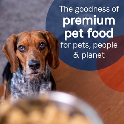 PURE All Stages Grain-Free Limited Ingredient Salmon & Sweet Potato Recipe Canned Dog Food, 13-oz can, case of 12