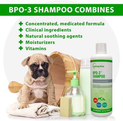 BPO-3 Shampoo for Dogs & Cats, 16-fl oz bottle