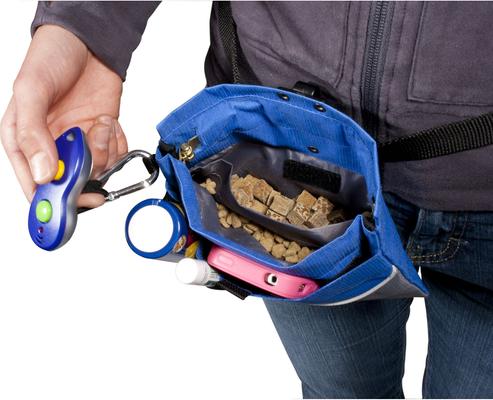 Bundle: PetSafe Mini Treat Pouch, Black & Puppy Chow Healthy Start Salmon Flavor Training Dog Treats