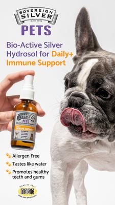Daily+ Immune Support Bio-Active Silver Hydrosol Small Dog & Cat Supplement, 2-fl oz bottle