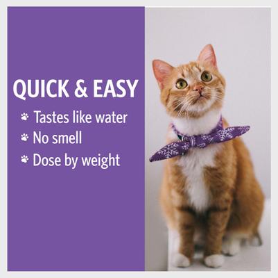 Daily+ Immune Support Bio-Active Silver Hydrosol Small Dog & Cat Supplement, 2-fl oz bottle