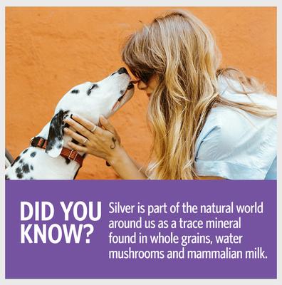 Daily+ Immune Support Bio-Active Silver Hydrosol Small Dog & Cat Supplement, 2-fl oz bottle