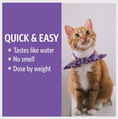 Daily+ Immune Support Bio-Active Silver Hydrosol Dog & Cat Supplement, 4-fl oz bottle