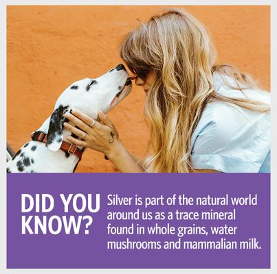 Daily+ Immune Support Bio-Active Silver Hydrosol Dog & Cat Supplement, 4-fl oz bottle