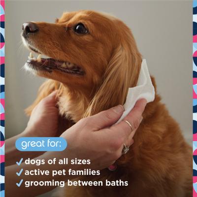 Toallitas húmedas sin fragancia para el cuidado de perros y gatos, 72 unidades
