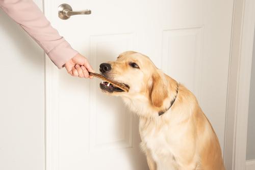 Beef Rib Bones Dog Chew Treats, 8 count