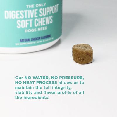 The Only Digestive Support Soft Chews Dogs Needs Digestive Supplement for Dogs, 120 count