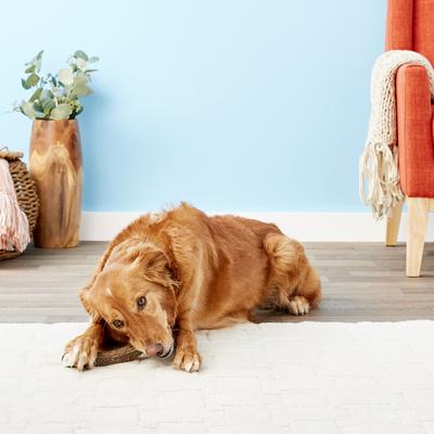 Whole Elk Antler Dog Chews, 6 - 7 in