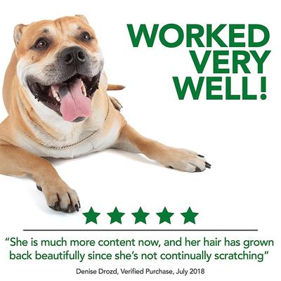 Hot Spot Spray for Dogs, 16-fl oz bottle