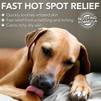 Hot Spot Spray for Dogs, 16-fl oz bottle