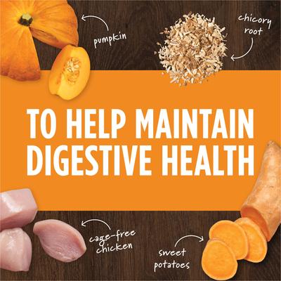 Paquete: Alimento seco para adultos sin cereales Merrick Real Texas Beef + Sweet Potato Recipe + Complemento para alimento para perros Instinct Freeze-Dried Raw Boost Mixers con receta para la salud intestinal sin cereales