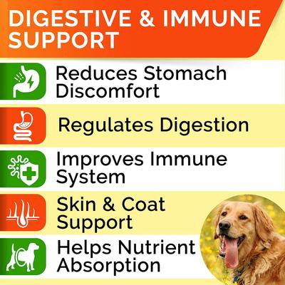 Probiotics Soft Chew Digestive Supplement for Dogs, 240 count