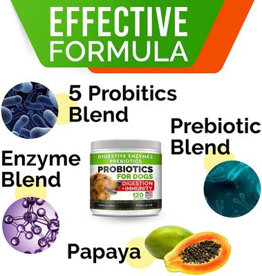 Probiotics Soft Chew Digestive Supplement for Dogs, 240 count