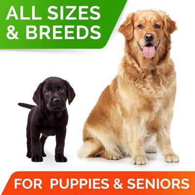 Probiotics Soft Chew Digestive Supplement for Dogs, 240 count