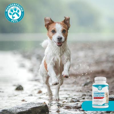 Ultimate Cranberry Bladder & Urinary Tract Support Dog Supplement, 90 count