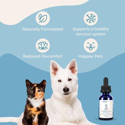 Nervous System Support for Seizures, Muscle Spasms & Anxiety Liquid Supplement for Cats & Dogs, 2-fl oz bottle