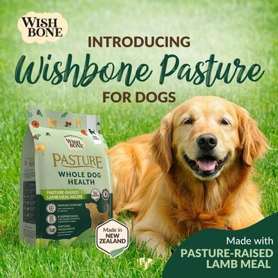 Pasture New Zealand Lamb Adult Grain-Free Dry Dog Food, 4-lb bag