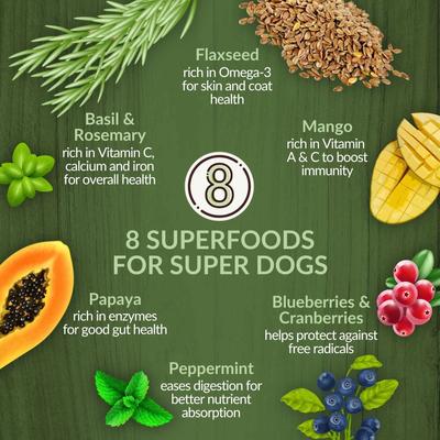 Pasture New Zealand Lamb Adult Grain-Free Dry Dog Food, 4-lb bag