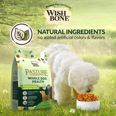 Pasture New Zealand Lamb Adult Grain-Free Dry Dog Food, 4-lb bag