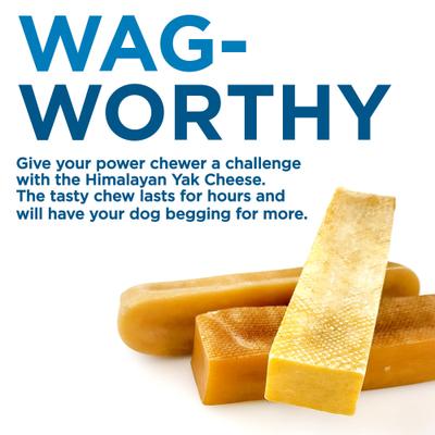 Himalayan Golden Yak Cheese Chews Mixed Pack Dog Treats