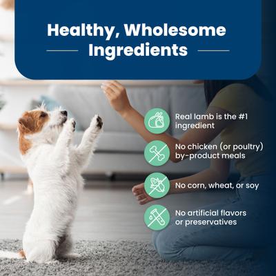 Life Protection Formula Puppy Lamb & Oatmeal Recipe Dry Dog Food, 5-lb bag