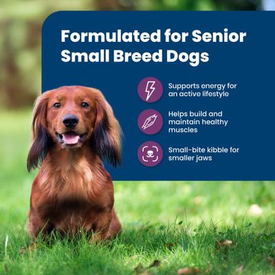 Life Protection Formula Small Breed Senior Chicken & Brown Rice Recipe Dry Dog Food, 5-lb bag