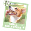 5 to 6-in Bully Sticks Dog Chew Treats, Small, 5 count