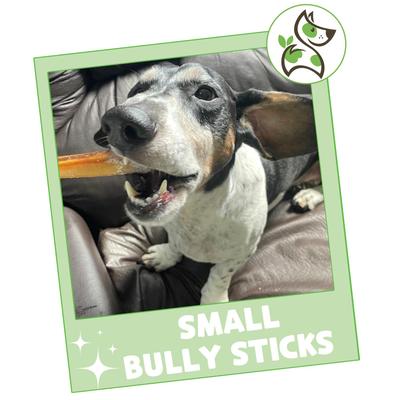 5 to 6-in Bully Sticks Dog Chew Treats, Small, 5 count